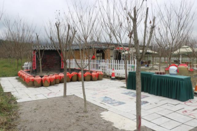 最好看的紫薇花美景,初秋靓丽的紫薇花