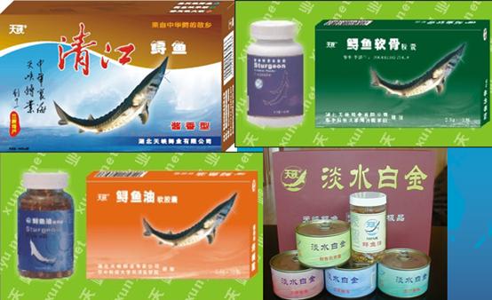 鲟鱼鱼子酱才是真正的鱼子酱,鲟鱼鱼子酱是哪种鲟鱼