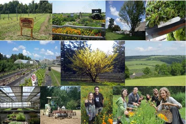 一条拼团｜富含金缕梅精华的爽肤水，全能养护洗发水725g