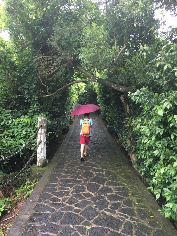 海南吃喝玩乐全攻略海口美食篇,海口旅游攻略美食路线推荐