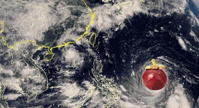 “三竹”过后真正的报应来了