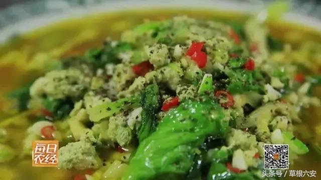 六安这种常见的虫子,竟然卖到了180一斤!你家附近有吗?