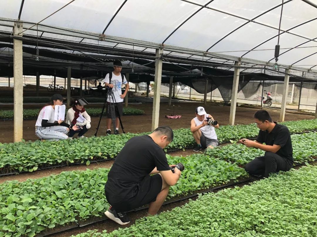 如何选择适合你的创业之路,如果给你一次创业机会你会怎么做