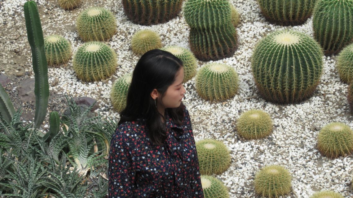 「洗锅摄影安利」｜选择一款适合学生*党**的平价相机