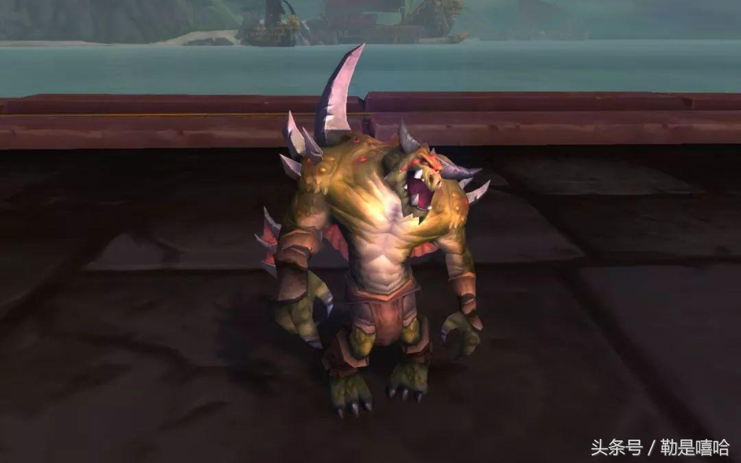 魔兽世界各种稀有宠物排名,魔兽世界稀有宠物排行榜