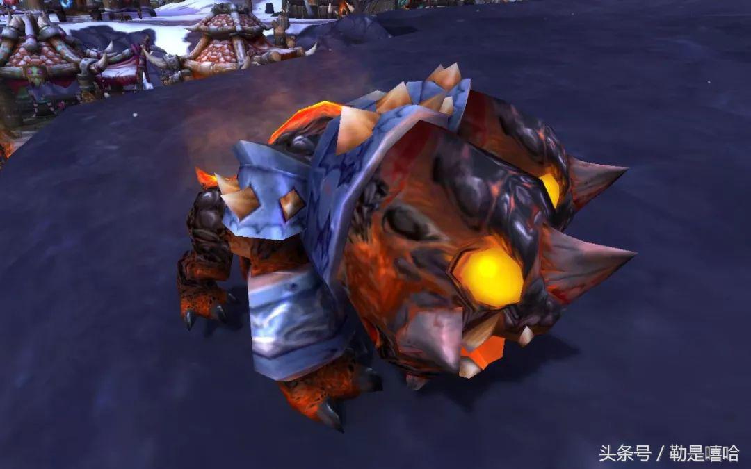 魔兽世界各种稀有宠物排名,魔兽世界稀有宠物排行榜