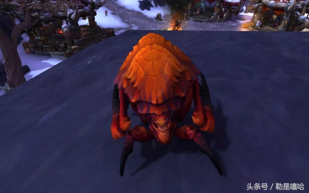 魔兽世界各种稀有宠物排名,魔兽世界稀有宠物排行榜