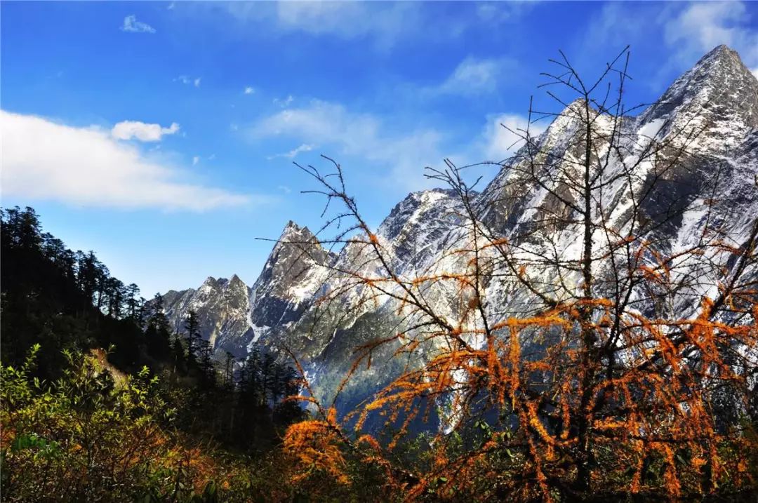 红叶秋天的一道独特风景,红叶美景惊艳了整个秋天