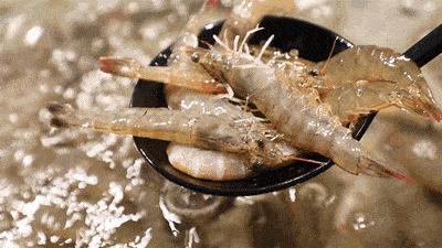 鸡骨虾火锅,鸡骨虾火锅哪家好吃