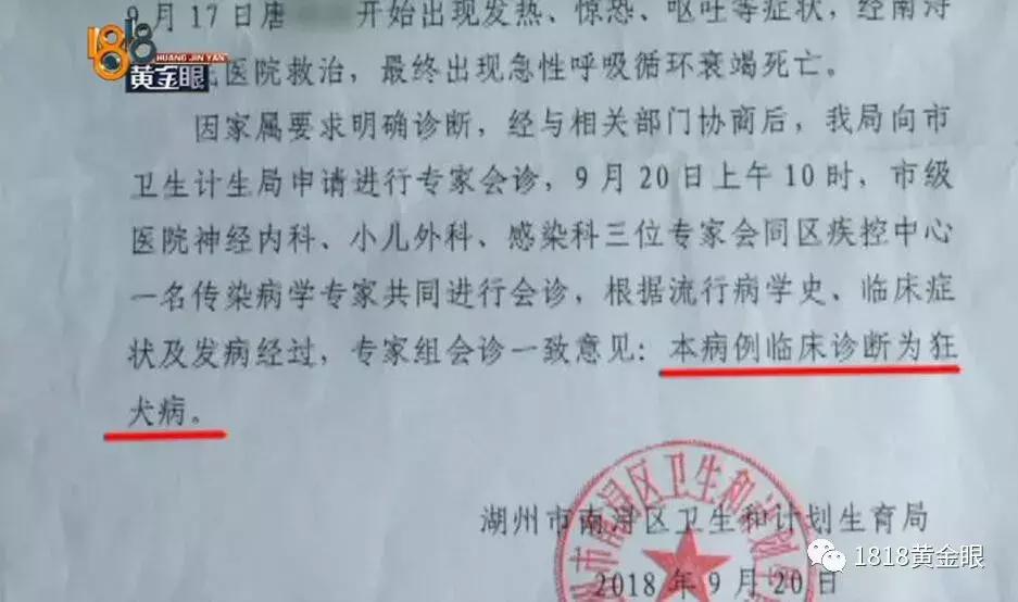 湖州6岁男童被狗咬伤,十几天后没了,确诊为狂犬病,听医生讲讲被狗咬伤后怎么处理