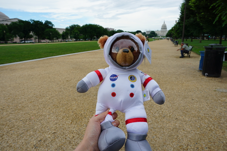 美国纽约自驾游最佳路线图,美国西部大环线自驾游攻略