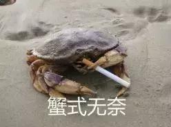 宝宝不能吃螃蟹?孕妇吃了对胎儿不好?