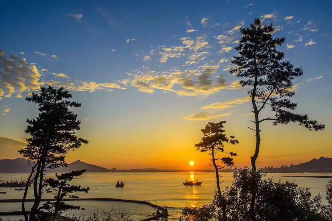 滨州面朝大海春暖花开,海景房滨州