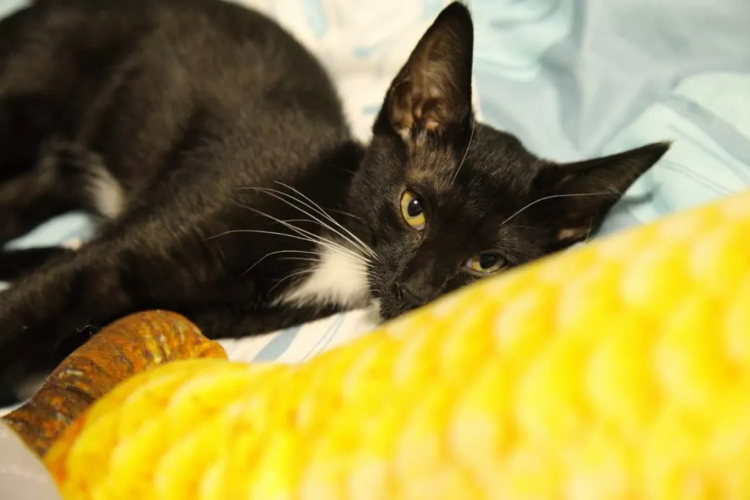 月薪5000在南宁能过什么样的生活,在南宁月入20万的生活