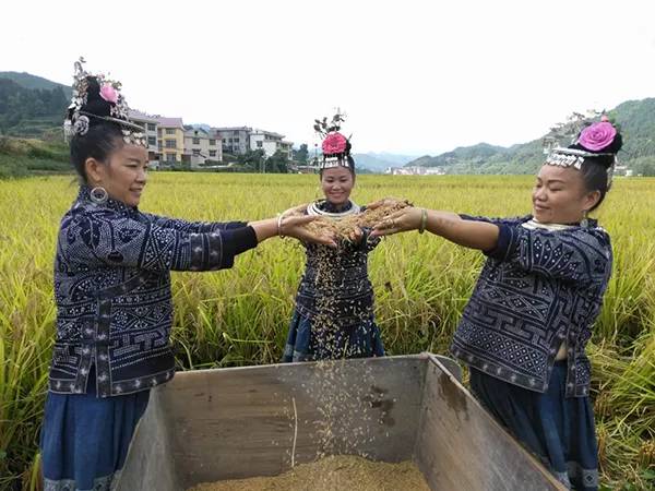 农秀才：农业农村部推荐100个休闲农业和乡村旅游精品景点线路