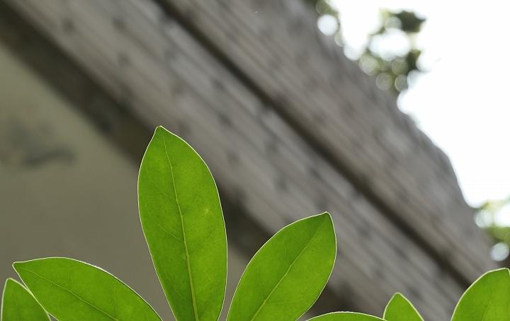 leica徕卡c-lux2多少钱,徕卡clux变焦