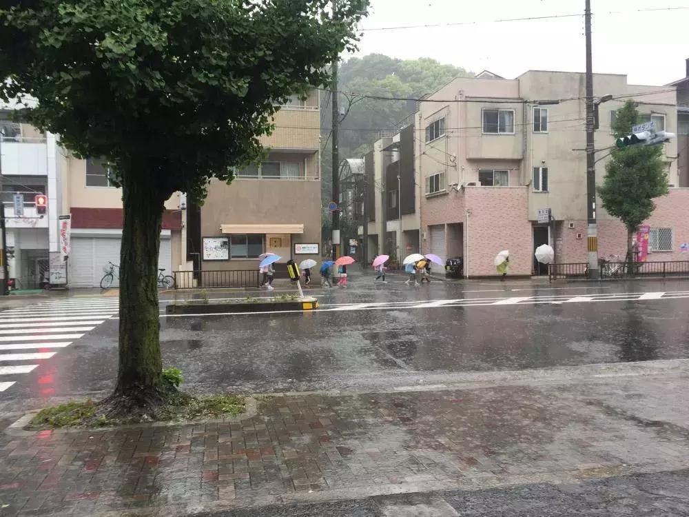 职业妈妈和全职妈妈,职业妈妈与全职妈妈