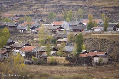 老鸟讲鬼故事大全,老鸟真实故事视频