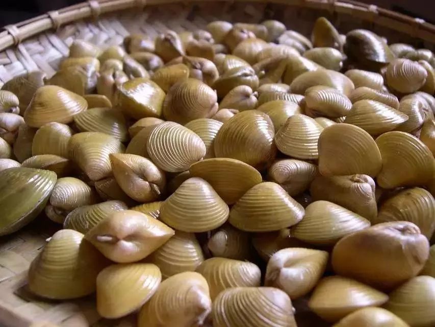 食在广东寻味顺德,食在肇庆