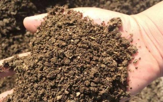 蓝莓土壤加醋能变酸吗,蓝莓土壤改酸方法