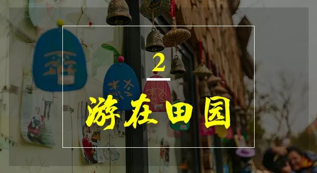 无锡阳山田园风光,无锡阳山东方田园游记