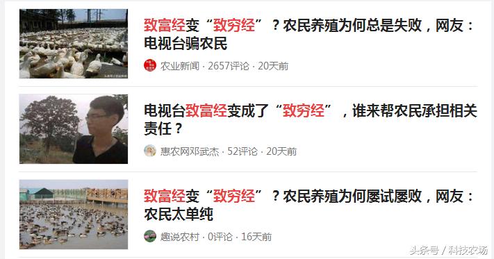 中央7台致富经是真的吗,中央7套致富经靠谱吗