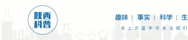 科学减脂代餐靠谱吗,科学趣多多