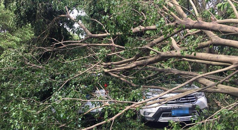 台风车险赔多少钱,台风来临前参保车险