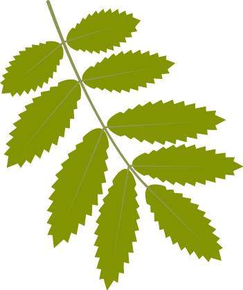 产科优秀护理集体,妇产科优秀护理团队