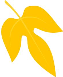 「优秀教学团队」妇产科：师徒相携，薪火相传