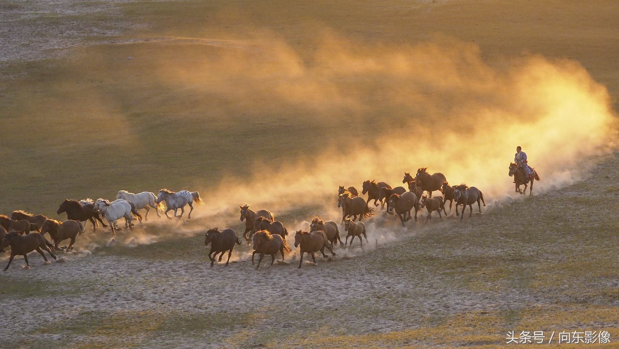 奥林巴斯配什么镜头,奥林巴斯配曲