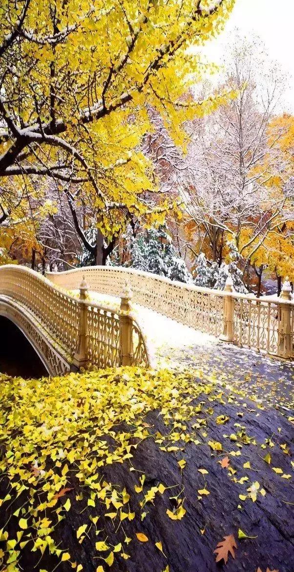 人应该先把自己活好再去帮助别人,人生不要过多帮助别人