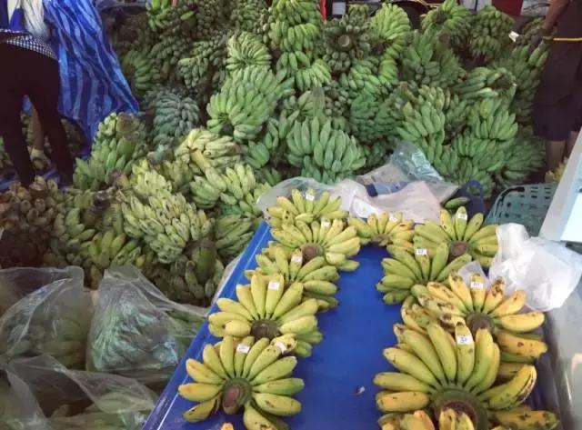 旅行中偶遇唯美的小镇,游记遇见宁夏