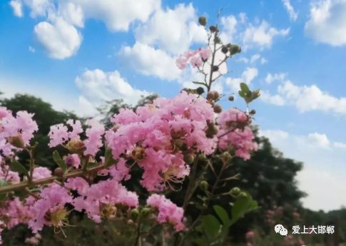 大永年大发展,大永年的夜景