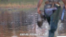 生活究竟有多么残酷,如果你觉得生活很苦不妨看一看