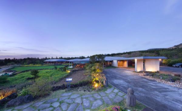 到济州岛旅行行程,济州岛一年往返12次