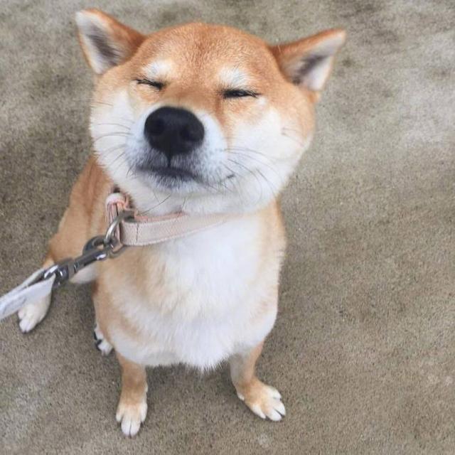 早安坚持励志正能量的句子朋友圈,晚上加班发朋友圈励志的精美句子