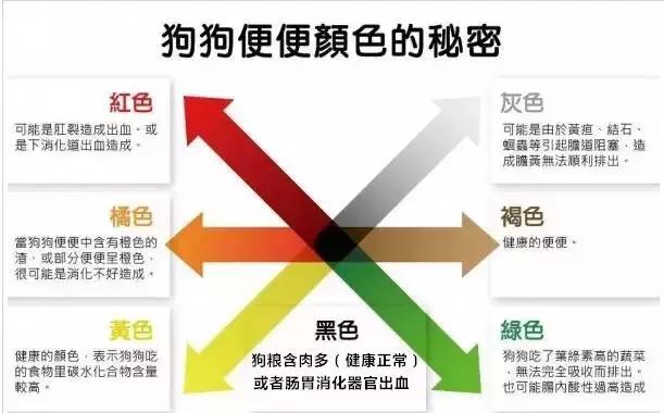 狗狗拉出来的粪便有白色的小虫,怎么从狗狗粪便判断狗狗健康情况