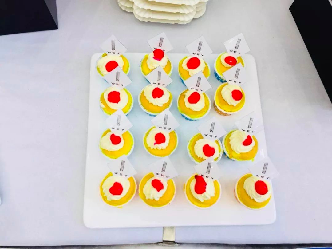 WEY你喝彩广州为众兴WEY增城店盛大开业