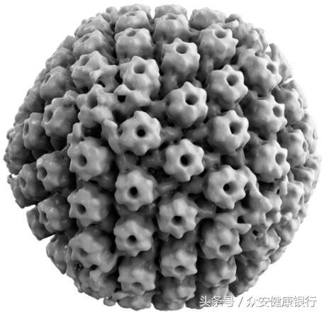 众安健康银行：多篇文章解读近年来疱疹病毒领域重要研究成果！