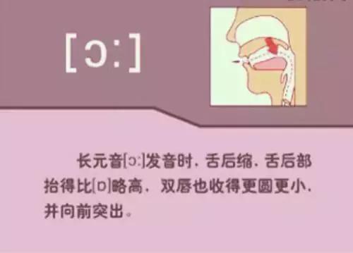 如何正确学习48个英语音标发音,英语音标速成48个简单实用易学