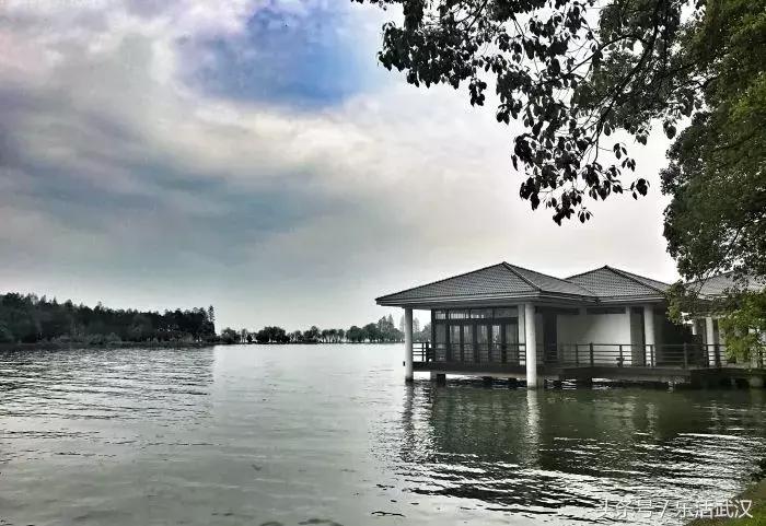 武汉高逼格婚礼,武汉婚礼殿堂