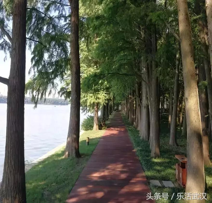 武汉高逼格婚礼,武汉婚礼殿堂