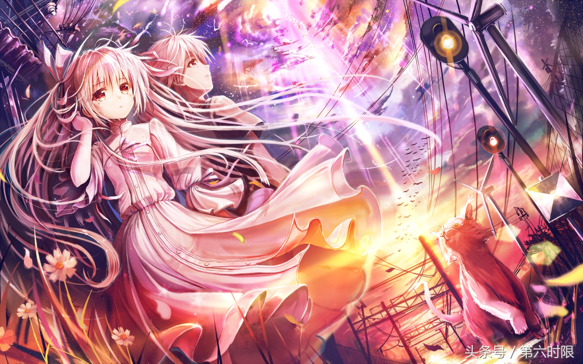 日本留学成绩单,日本留学失利怎么办