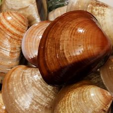 广州旅游景点排行榜前十名有哪些,广州旅游攻略必去十大景点沙面岛