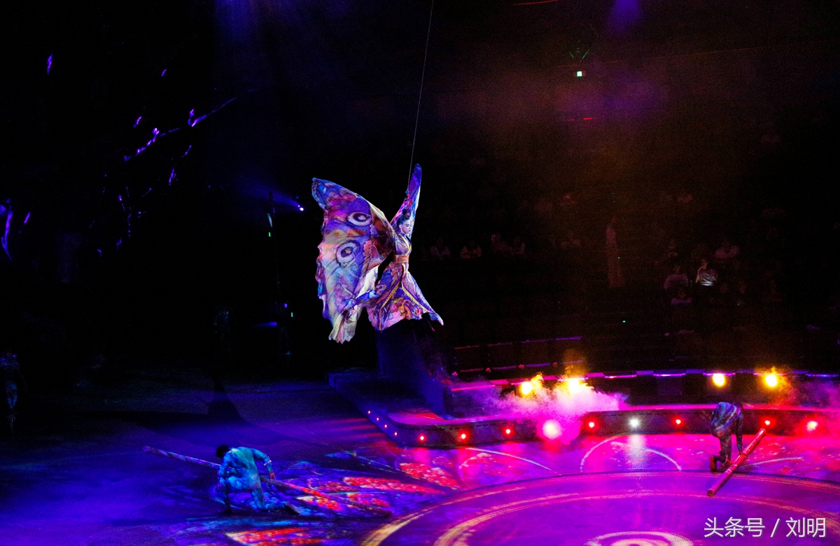 蚂蚁旅游专线云南之旅,蚂蚁旅游行