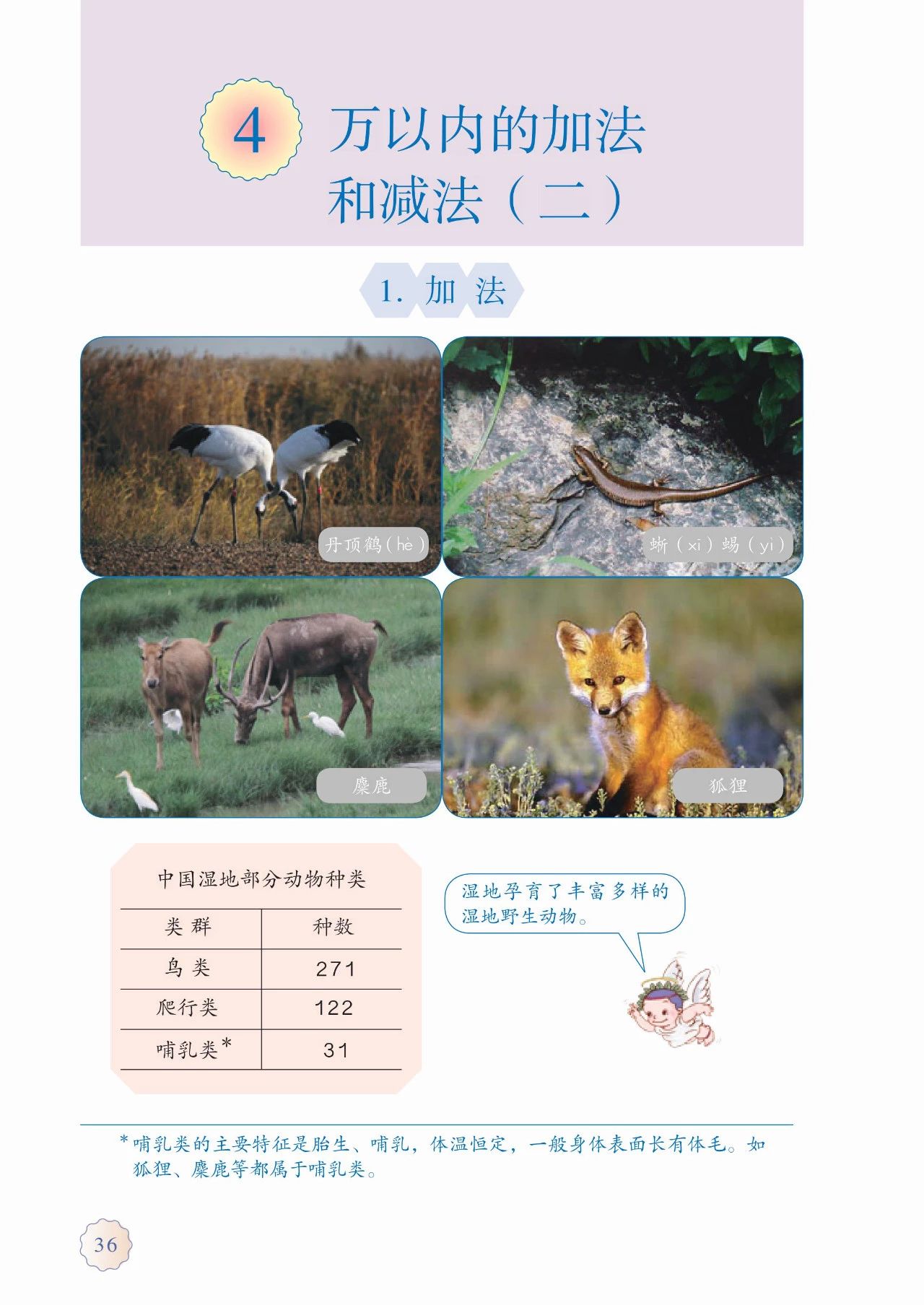 人教版三年级数学上册课本答案,人教版三年级数学上册课本