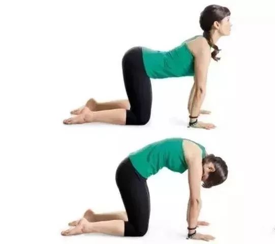 猫牛式动作讲解,猫牛式正确练习和错误练习