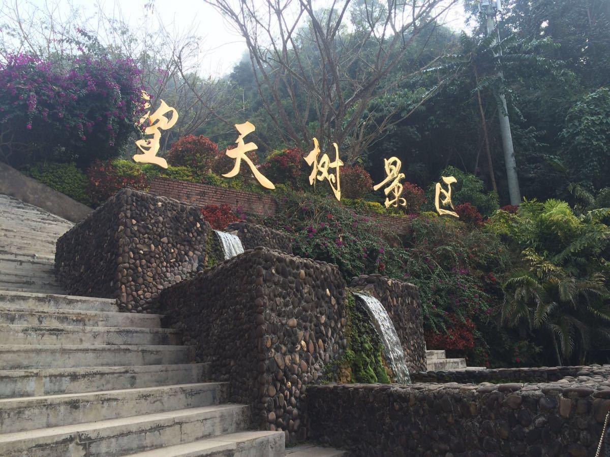 西双版纳美景视频素材民族风情,领略西双版纳傣族的民族风情