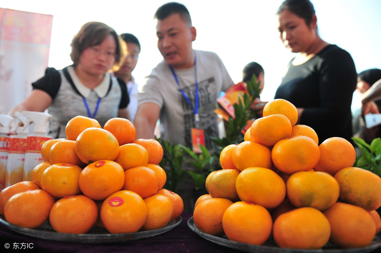 实施乡村振兴三步走时间表2035年,30分钟带你吃透实施乡村振兴战略